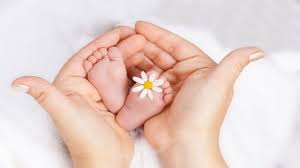 ثبت سالانه بیش از ۴۰۰ مورد سقط جنین در شهرستان بناب