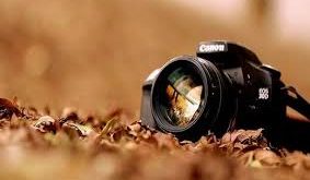 images - پایگاه خبری اخبار بناب شهرستان بناب