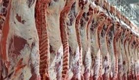 عهخعخع - پایگاه خبری اخبار بناب شهرستان بناب