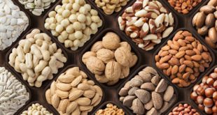 main - پایگاه خبری اخبار بناب شهرستان بناب