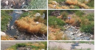 photo ۲۰۲۲ ۰۹ ۲۷ ۱۵ ۱۴ ۰۷ - پایگاه خبری اخبار بناب شهرستان بناب