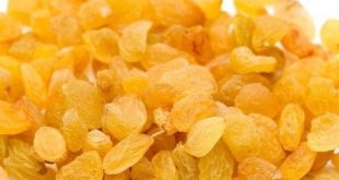 IMG ۲۰۲۱۱۰۱۴ ۰۱۵۰۰۱ - پایگاه خبری اخبار بناب شهرستان بناب