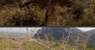 photo ۲۰۲۳ ۰۸ ۲۷ ۲۳ ۳۷ ۲۶ 1 - پایگاه خبری اخبار بناب شهرستان بناب
